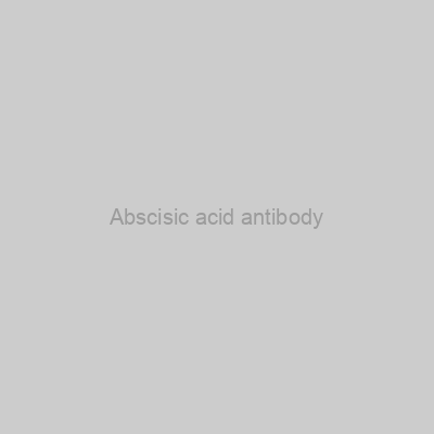 Abscisic acid antibody